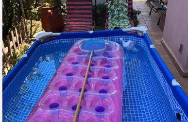 Summer spirit Neapolis - Photo 10