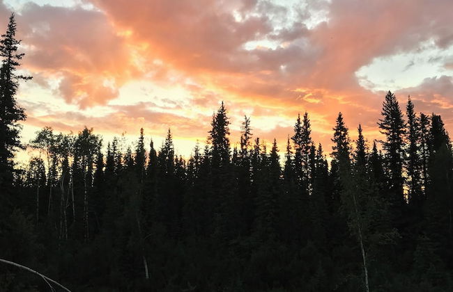 Arctic Homestead - Foto 10