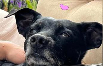 Grahl´s Ferienwohnung - Foto 39