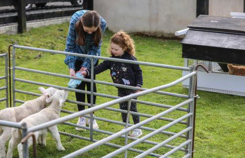 GlenHaven Holiday Accommodation - Foto 35