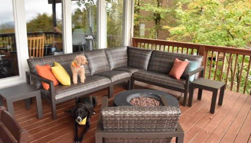 Paws at the Peak - Photo 2