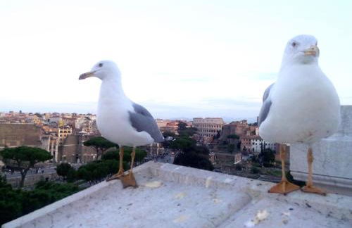 Casa Bella B&B 2 Unità - Una con bagno privato oppure camera con bagno condiviso - Foto 34