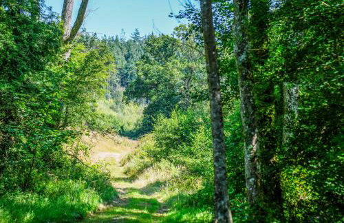 Primrose Lodge - Uk50874 - Foto 13