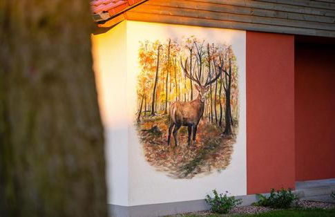 WaldResort - Am Nationalpark Hainich - Foto 66