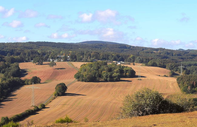 Chalet in Gerolstein Near Forest Trails - Foto 24
