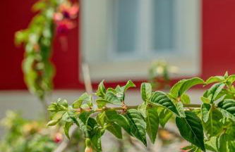 Algés Village Casa 4 by Lisbon-Coast vacation - Foto 28