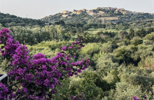 la corte degli ulivi - Foto 75