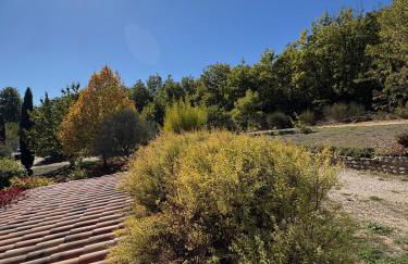 Pigeonnier des Banons - Foto 48