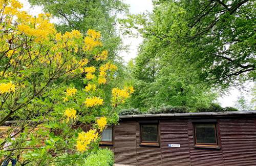 Ferienhaus Bucheneck perfekt für Familien & größere Gruppen im Seenland Lausitz - Foto 21