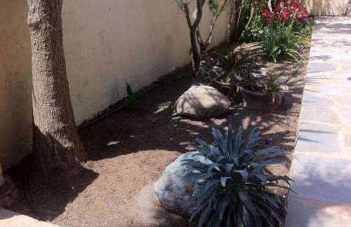 Mini Villas Green - Foto 32