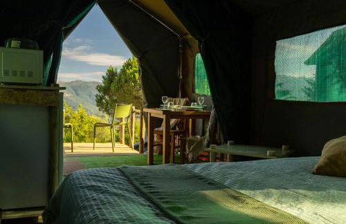 Safari Glamping Portugal Koi Fish - Foto 58