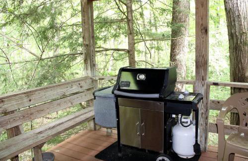 Enchanting Country Cabin Rental near Oak Hill, West Virginia - Foto 18