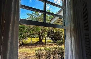 Fazenda Santa Thereza - Itapira - Foto 32