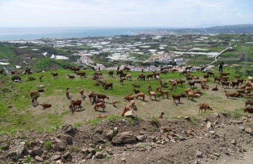 Villa Perla Blanca - Foto 70