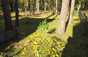 Daglezji 170 - Foto 4