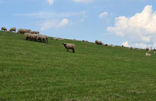 Haus JadeMuschel - behagliches Haus mit Aussicht - Photo 15