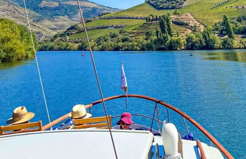 Casa de Casal de Loivos - Foto 115