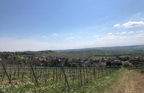 Jakobsruhe - Ferien im Weinparadies - Foto 19