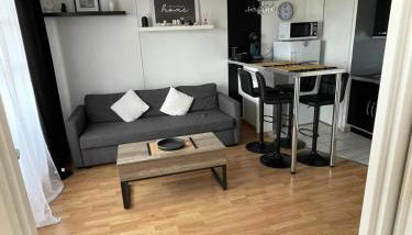 City Rose T2, Climatisation,parking privé, piscine, wifi , tout confort - Photo 4