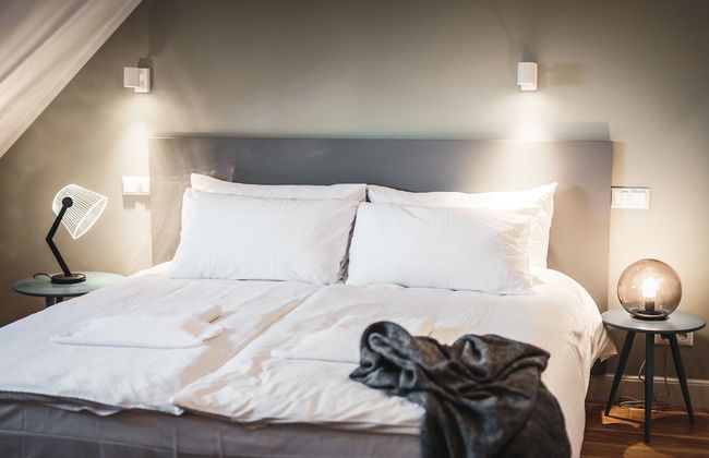 Riga Lux Apartments - Skolas - Photo 32