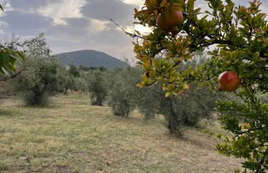 Panoramic View Summerhouse - Foto 48