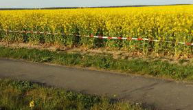 Natur-Freude-19p - Foto 4