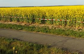 Natur-Freude-19p - Foto 4