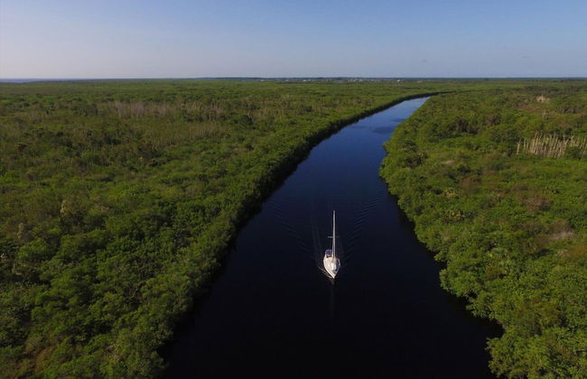 14422 Maysville Circle - Foto 47