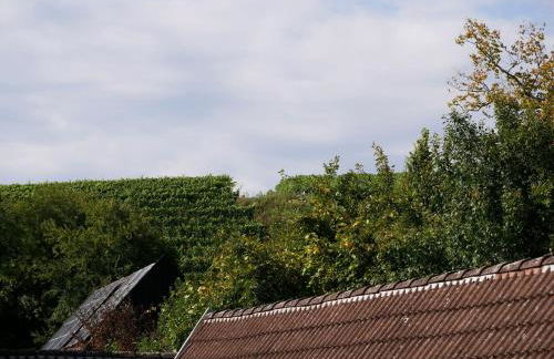 Haus Der Malerin Andrea Gawaz - Foto 9