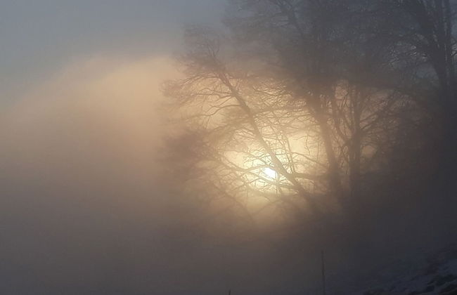 Casa Hürlimann Erholung Im Malcantone - Photo 55