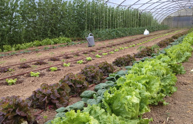 Agroturismo Urresti - Foto 36