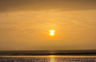 Paws a while - Foto 23