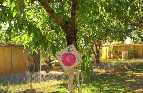 Zio Stefy - Photo 31