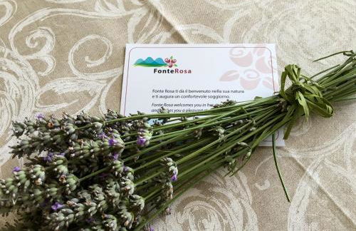 Agriturismo Fonte Rosa - Foto 80