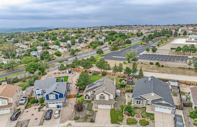 Shirley's Temple - Foto 41