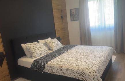 Apartman KOCKICA - Photo 27