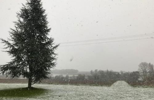 Le Mas, Maison de maître, Cognac - Foto 36