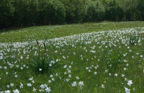 Agriturismo La Casa Nei Boschi - Foto 61