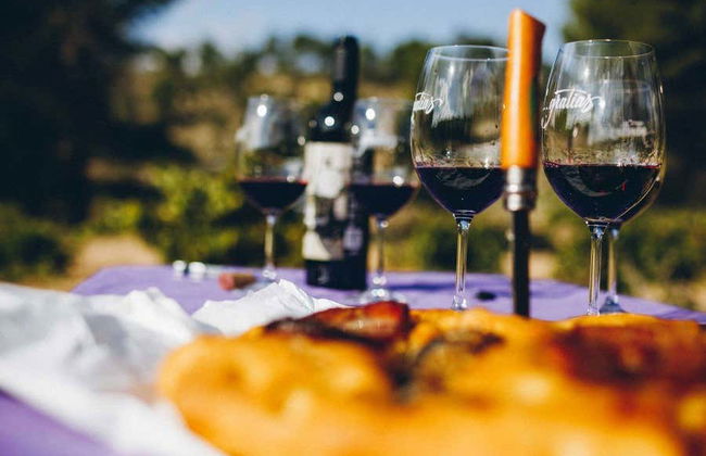 Visita guidata delle cantine Gratias - Foto 3