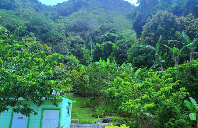 Pinard's Mountain Resort - Cottage 7 - Photo 35