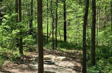 Fern Hill Cabin - Foto 34