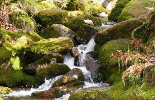 Casa Joao Vilar by Gerês Casas - Foto 52