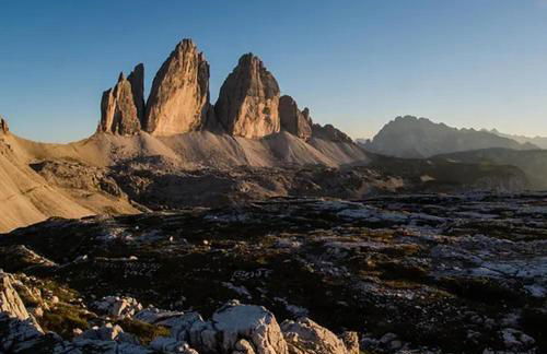 stella alpina - Foto 17