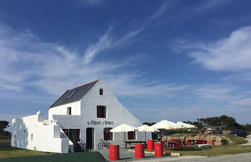 Le Pilleur d'Epaves - Foto 1