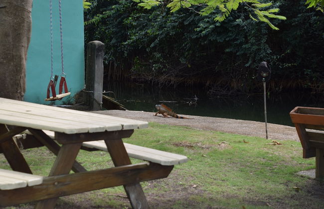 Bamboleo Inn Belize - Photo 51