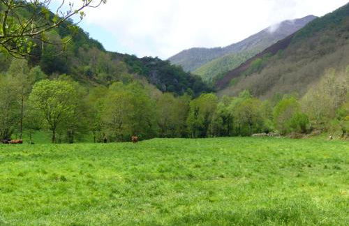 CASA MUNIELLOS - Foto 26