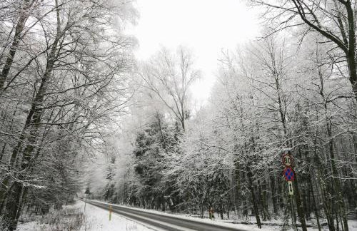 Cztery Pory Roku - Foto 68