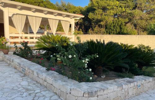 MASSERIA FRANTELLA - Foto 39