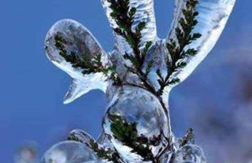 Appartments Neuhof - Photo 75