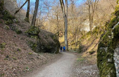 Ferienwohnung Roth, Unlingen - Foto 37